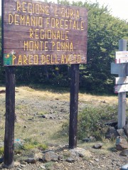 CODICE: montepenna_1081.jpg - Per acquistare le foto leggi le istruzioni nella news del 12 Settembre.
