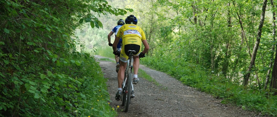 Cross Country MTB Parma