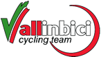 Logo Vallinbici